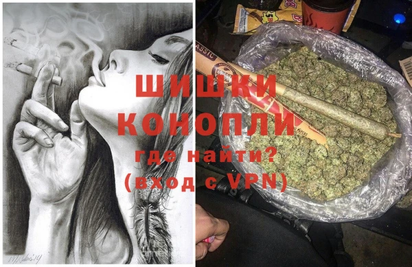 PSILOCYBIN Медногорск