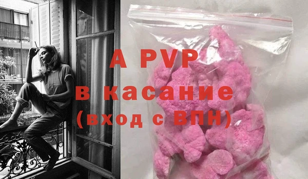 стафф Аксай