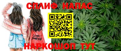 альфа пвп Краснознаменск