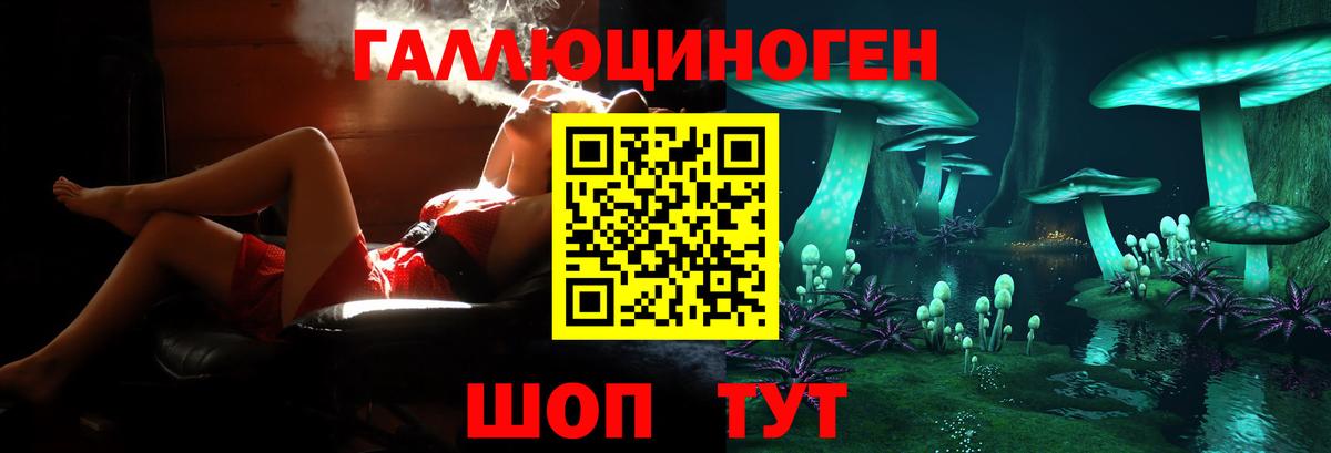 Галлюциногенные грибы Magic Shrooms  где купить наркоту  Вход с VPN  Михайловск  Галлюциногенные грибы MAGIC MUSHROOMS 
