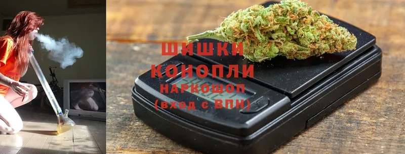 Каннабис OG Kush  Михайловск 